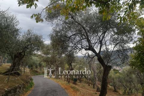 Villa a Massarosa, Lucca, Massarosa - € 450.000 | Ref: M659 - foto 35