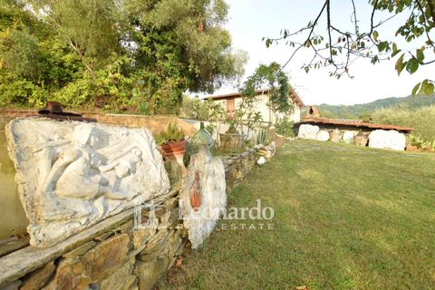Villa en Camaiore, Lucca, Camaiore - € 775.000 | Ref: ES435 - photo 32