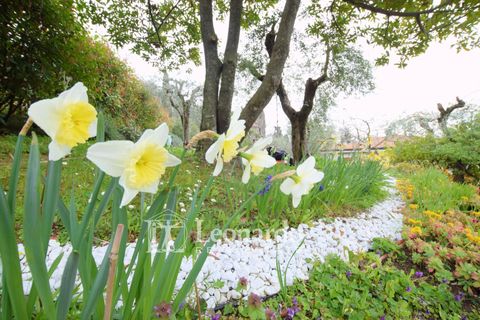 Villa i Massarosa, Lucca, Massarosa - € 600.000 | Ref: C991 - foto 2