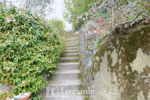 Villa i Massarosa, Lucca, Massarosa - € 600.000 | Ref: C991 - foto 29