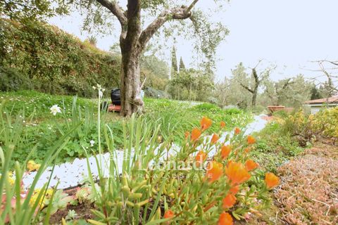 Villa i Massarosa, Lucca, Massarosa - € 600.000 | Ref: C991 - foto 32