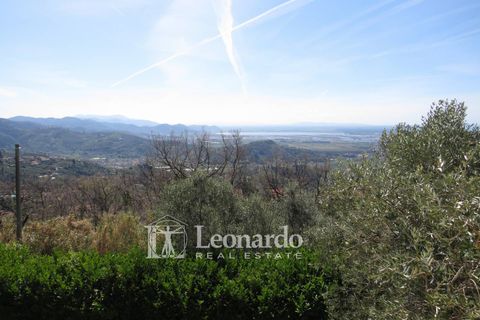 Villa i Massarosa, Lucca, Massarosa - € 415.000 | Ref: C994 - foto 2