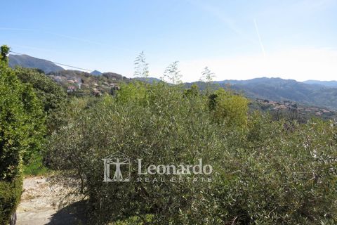 Villa i Massarosa, Lucca, Massarosa - € 415.000 | Ref: C994 - foto 33