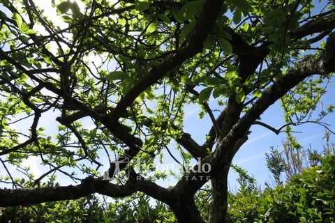 Villa i Massarosa, Lucca, Massarosa - € 415.000 | Ref: C994 - foto 46