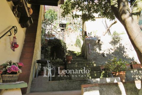 Villa i Camaiore, Lucca, Camaiore - € 160 000 | Ref: ES493 - foto 25
