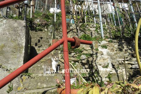 Villa i Camaiore, Lucca, Camaiore - € 160 000 | Ref: ES493 - foto 26