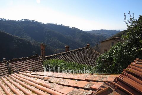 Villa i Camaiore, Lucca, Camaiore - € 160 000 | Ref: ES493 - foto 32