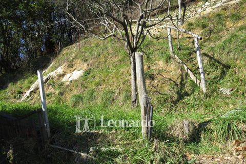 Villa i Camaiore, Lucca, Camaiore - € 160 000 | Ref: ES493 - foto 33