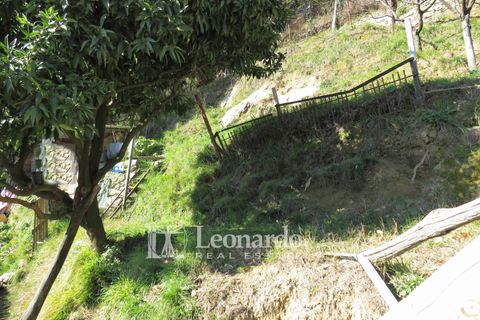 Villa i Camaiore, Lucca, Camaiore - € 160 000 | Ref: ES493 - foto 36