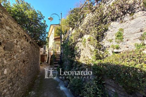 Villa i Camaiore, Lucca, Camaiore - € 160 000 | Ref: ES493 - foto 46
