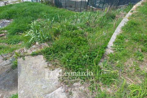 Villa i Pietrasanta, Lucca, Pietrasanta - € 290.000 | Ref: P228 - foto 14
