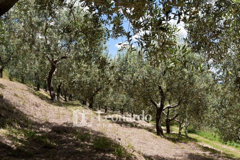 Villa a Massarosa, Lucca, Massarosa - € 1.950.000 | Ref: REA494 - foto 40