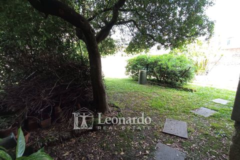 Leilighet i Pietrasanta, Lucca, Pietrasanta - € 465 000 | Ref: P238 - foto 29