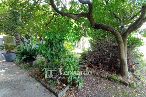 Leilighet i Pietrasanta, Lucca, Pietrasanta - € 465 000 | Ref: P238 - foto 34