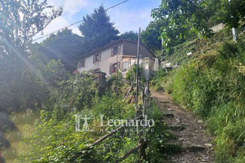 Villa em Stazzema, Lucca, Stazzema - € 260.000 | Ref: S252 - foto 1