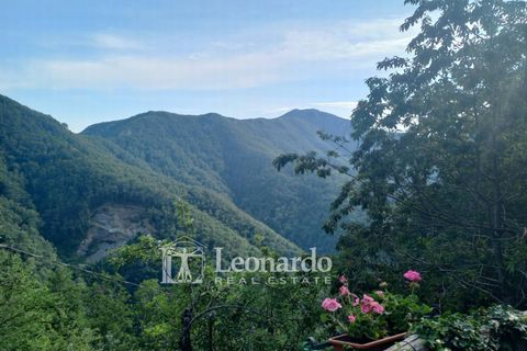 Villa em Stazzema, Lucca, Stazzema - € 260.000 | Ref: S252 - foto 34