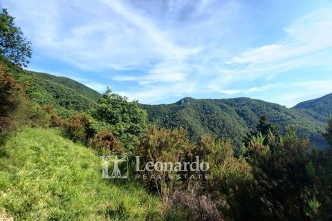 Villa em Stazzema, Lucca, Stazzema - € 260.000 | Ref: S252 - foto 35