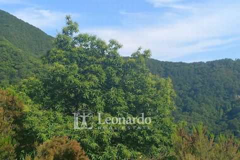 Villa em Stazzema, Lucca, Stazzema - € 260.000 | Ref: S252 - foto 36