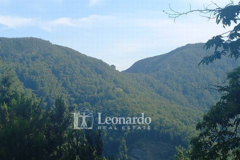 Villa em Stazzema, Lucca, Stazzema - € 260.000 | Ref: S252 - foto 37