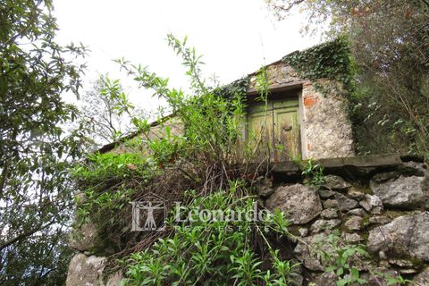 Helårsgrund i Camaiore, Lucca, Camaiore - € 30.000 | Ref: C258 - foto 4