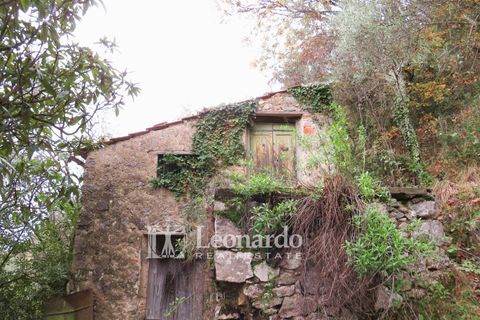 Helårsgrund i Camaiore, Lucca, Camaiore - € 30.000 | Ref: C258 - foto 6