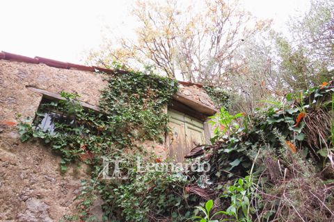Helårsgrund i Camaiore, Lucca, Camaiore - € 30.000 | Ref: C258 - foto 7
