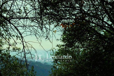 Helårsgrund i Camaiore, Lucca, Camaiore - € 30.000 | Ref: C258 - foto 12