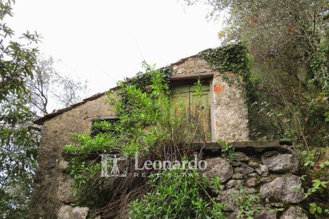 Helårsgrund i Camaiore, Lucca, Camaiore - € 30.000 | Ref: C258 - foto 13