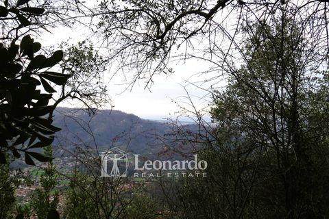 Helårsgrund i Camaiore, Lucca, Camaiore - € 30.000 | Ref: C258 - foto 15