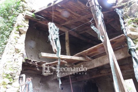 Helårsgrund i Camaiore, Lucca, Camaiore - € 30.000 | Ref: C258 - foto 16