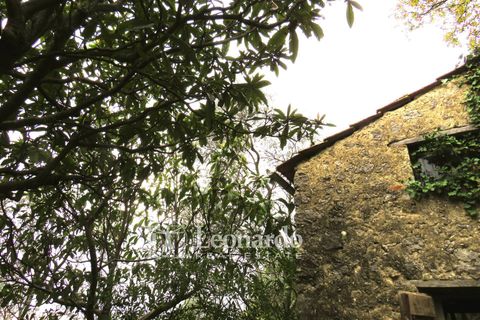 Helårsgrund i Camaiore, Lucca, Camaiore - € 30.000 | Ref: C258 - foto 17