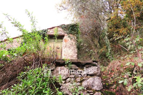 Helårsgrund i Camaiore, Lucca, Camaiore - € 30.000 | Ref: C258 - foto 18