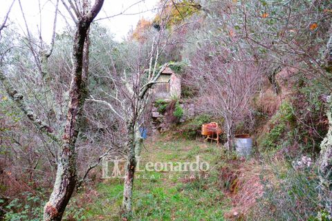 Helårsgrund i Camaiore, Lucca, Camaiore - € 30.000 | Ref: C258 - foto 21
