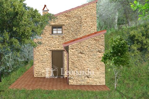 Helårsgrund i Camaiore, Lucca, Camaiore - € 30.000 | Ref: C258 - foto 22