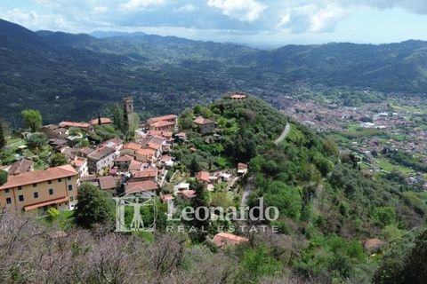 Helårsgrund i Camaiore, Lucca, Camaiore - € 30.000 | Ref: C258 - foto 1