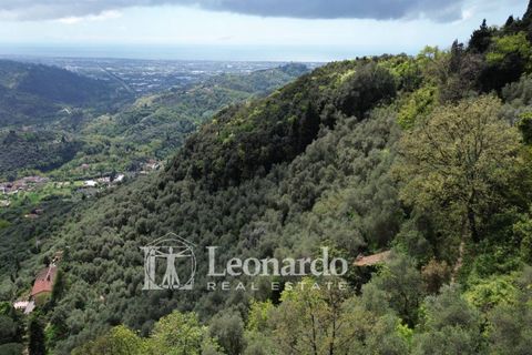 Helårsgrund i Camaiore, Lucca, Camaiore - € 30.000 | Ref: C258 - foto 2