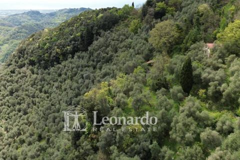 Helårsgrund i Camaiore, Lucca, Camaiore - € 30.000 | Ref: C258 - foto 5