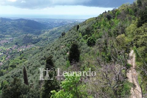 Helårsgrund i Camaiore, Lucca, Camaiore - € 30.000 | Ref: C258 - foto 9