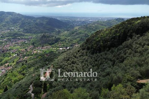 Helårsgrund i Camaiore, Lucca, Camaiore - € 30.000 | Ref: C258 - foto 23