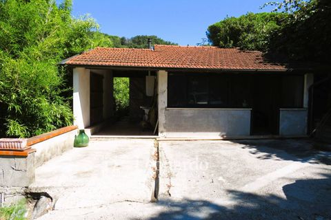 Villa i Massarosa, Lucca, Massarosa - € 530.000 | Ref: C271 - foto 13