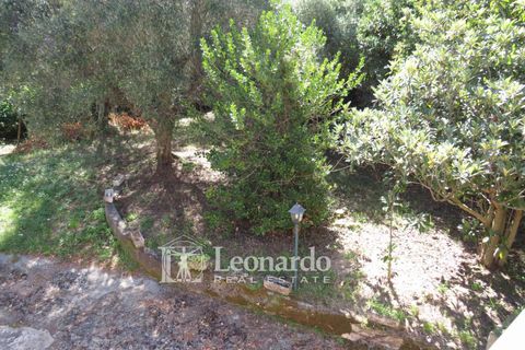 Villa i Massarosa, Lucca, Massarosa - € 530.000 | Ref: C271 - foto 20