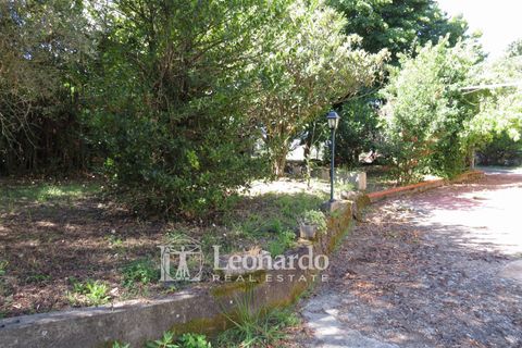 Villa i Massarosa, Lucca, Massarosa - € 530.000 | Ref: C271 - foto 28
