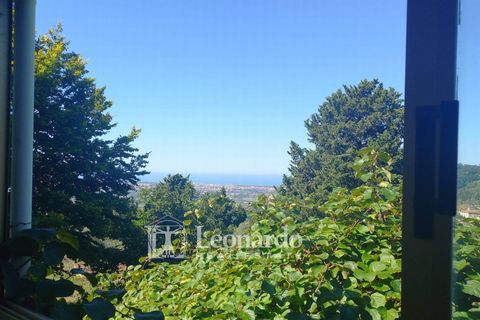 Villa i Massarosa, Lucca, Massarosa - € 530.000 | Ref: C271 - foto 36