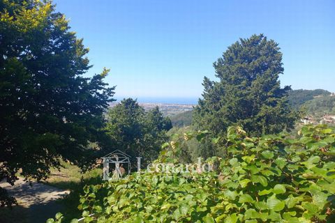 Villa i Massarosa, Lucca, Massarosa - € 530.000 | Ref: C271 - foto 38
