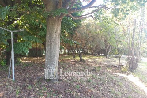 Villa i Massarosa, Lucca, Massarosa - € 530.000 | Ref: C271 - foto 41