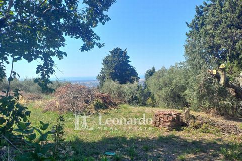 Villa i Massarosa, Lucca, Massarosa - € 530.000 | Ref: C271 - foto 42