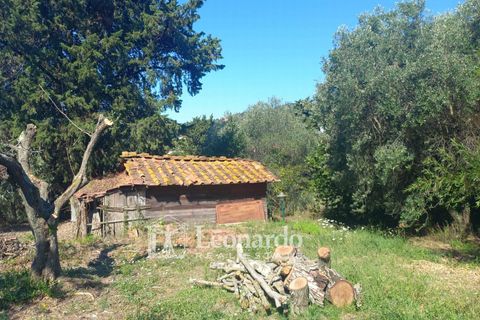 Villa i Massarosa, Lucca, Massarosa - € 530.000 | Ref: C271 - foto 43