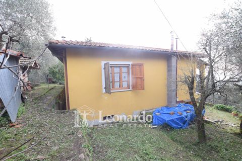 Villa a Massarosa, Lucca, Massarosa - € 270.000 | Ref: M323 - foto 27