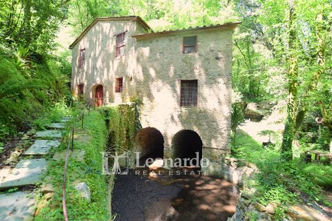 Villa i Camaiore, Lucca, Camaiore - € 395.000 | Ref: REA501 - foto 1