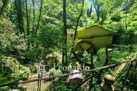 Villa i Camaiore, Lucca, Camaiore - € 395.000 | Ref: REA501 - foto 3